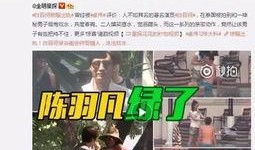 贴吧爆料出轨事件视频大全,出轨事件视频大全深度解析