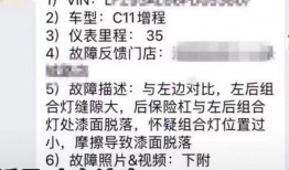 作假爆料视频,作假爆料视频深度剖析