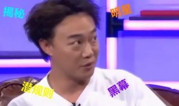 卢伟娱乐圈爆料视频,揭秘明星幕后真相