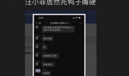 张颖颖聊天爆料视频,揭秘背后惊人真相