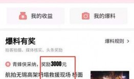 今日头条爆料是什么,揭秘神秘事件背后的惊人真相