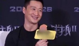 王思聪新年爆料视频,揭秘娱乐圈不为人知的秘密