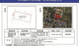 临沂爆料最新消息,揭秘事件背后真相
