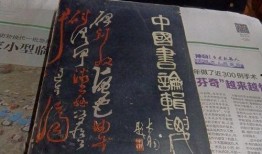 小哥爆料炸鸡店视频大全,炸鸡店视频大全，美味瞬间尽收眼底