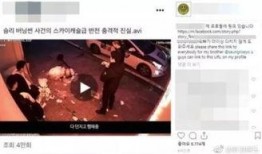 四川某高校视频爆料案件,真相与争议交织的校园疑云
