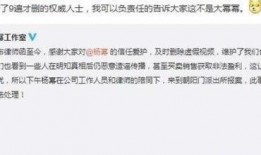 王思聪新年爆料视频,揭秘娱乐圈不为人知的秘密