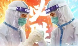 国外爆料疫情真实吗视频,真相与谣言的交织