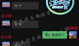 张颖颖聊天爆料视频,揭秘背后惊人真相