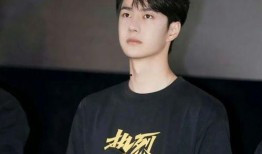 王一博爆料被抓视频在线观看,揭秘事件背后真相