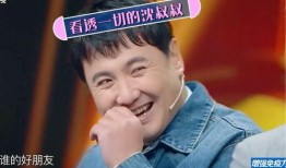 圈内爆料王牌家族,揭秘娱乐圈顶级家族的辉煌历程与幕后故事