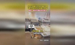 小哥爆料炸鸡店视频大全,炸鸡店视频大全，美味瞬间尽收眼底