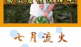 认真吃瓜小说免费阅读,揭秘认真吃瓜小说免费阅读背后的故事