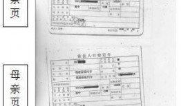 黑料狗仔爆料视频大全,揭秘娱乐圈幕后真相