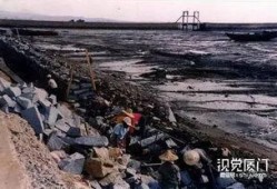 最新台风爆料视频大全,直击风暴现场，揭秘台风威力