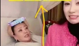 张兰爆料保姆视频大全集,揭秘事件全记录