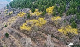 山亭区爆料新闻,揭秘事件背后真相