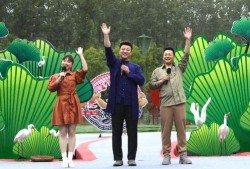 西安老六最新爆料视频,揭秘视频背后的惊人真相