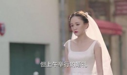 心灰在线播放观看,情感纠葛的治愈之旅