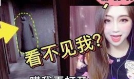 娱乐吃瓜密室逃脱小说,娱乐圈的神秘瓜田