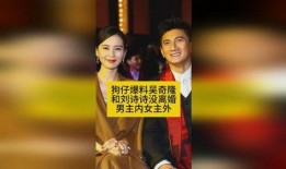狗仔爆料刘诗诗视频,狗仔偷拍引发热议