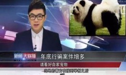 明星大鹏爆料视频播放在线观看,在线观看揭秘幕后故事