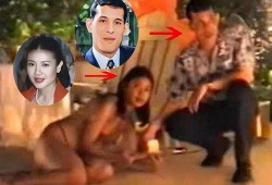 大慈树王爆料视频大全集,揭秘神秘事件的背后真相