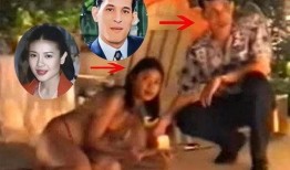 大慈树王爆料视频大全集,揭秘神秘事件的背后真相