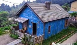 小木屋电影在线观看,穿越时光的温馨之旅