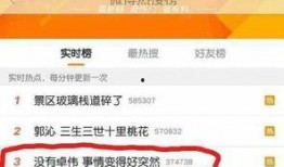 卓伟爆料小明视频播放,小明视频播放引发热议，真相究竟如何？