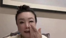 张兰爆料保姆视频大全集,揭秘事件全记录