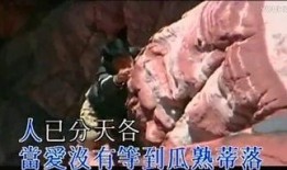 新家法完整版在线观看