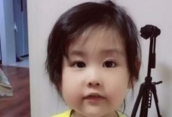 东北小丫头爆料大全最新,揭秘娱乐圈幕后真相