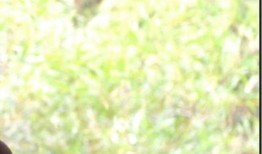 血湖电影在线观看,揭秘电影在线观看的惊悚之旅