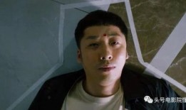 明星大鹏爆料视频播放在线观看,在线观看揭秘幕后故事