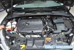 香港福克斯最新爆料,最新爆料引发热议