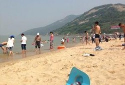 连云港海边爆料视频最新,神秘现象引发热议，揭秘海洋奇观之谜！