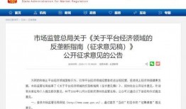 蚂蚁集团最新新闻爆料,揭秘新战略布局与市场动向