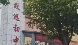 致远中学最新爆料,揭秘校园风云背后的故事