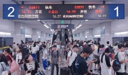 东莞都市现场爆料新闻,揭秘最新爆料背后的真相