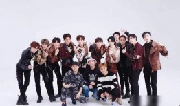 暗开cp圈内人爆料怎么办,圈内人爆料揭开CP圈神秘面纱