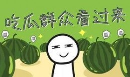 全家吃瓜记全集免费看,笑料横生的欢乐盛宴