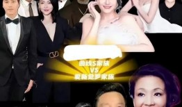 张兰爆料保姆视频大全集,揭秘事件全记录