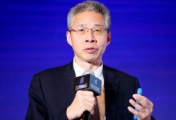李迅雷最新爆料,揭秘行业内幕，深度剖析市场动态
