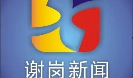 谢岗爆料新闻视频播放,事件真相即将揭晓