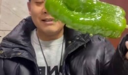 宿迁网红吃瓜事件视频,一场网络狂欢背后的真相揭秘