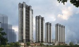 万科城4期最新爆料事件,揭秘神秘事件背后的真相