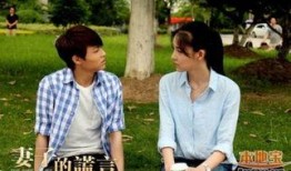 妻子的谎言电视剧全集在线观看,揭秘婚姻背后的真相与谎言