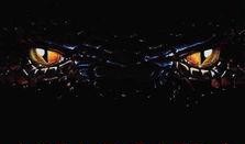 巨蚁之灾在线观看,在线惊悚巨制，揭秘神秘蚁群入侵的生存挑战