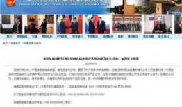 外交部最新爆料新闻视频,揭秘国际事件背后真相