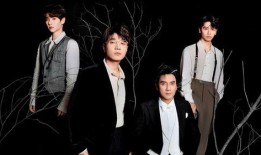 文薇爆料王铮亮下跪视频,文薇爆料背后的感人故事